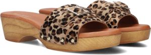 Red-Rag Dames Slippers 79608-059 Leopard Multi
