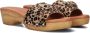 Red-Rag Dames Slippers 79608-059 Leopard Multi - Thumbnail 1