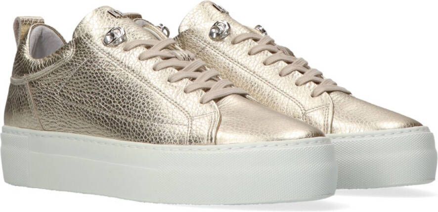 Arthur Ansiklopedi özür gouden gympen - lafincadelcastilloarabegranada.com