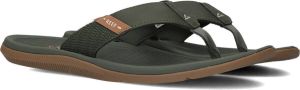 Reef Groene Teenslippers Santa Ana