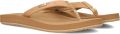 Reef Slipp REE Baja Sands Lichtbruin Bruin - Bruin