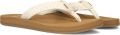 Reef Baja Maria teenslippers ecru - Bruin