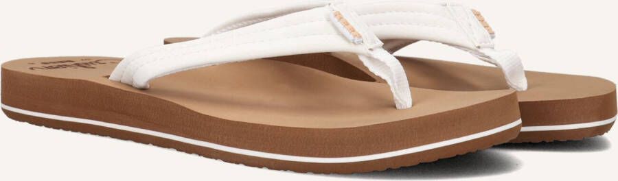 Reef Slippers Cushion Breeze RF001454CLD Wit Bruin