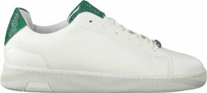 Rehab Vrouwen Leren Slangenprint Lage sneakers Damesschoenen Sneaker snake Wit