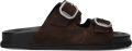 SHABBIES Slippers Dames Inga Buckles S Suède Bruin - Bruin