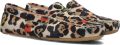 STEFANO LAURAN Mocassins Dames 11634 Suède Beige - Beige