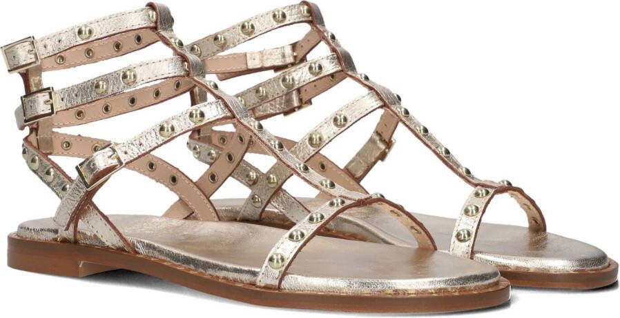 STEFANO LAURAN Dames 24202 Maat: 42 Materiaal: Leer Kleur: Goud