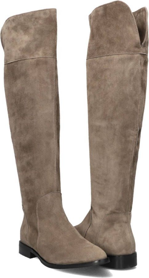 Stefano Lauran Taupe Hoge Laarzen voor Dames - Foto 1
