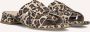 STEFANO LAURAN Slippers Dames Karin Maat: 38 Materiaal: Suède Kleur: Bruin - Thumbnail 1