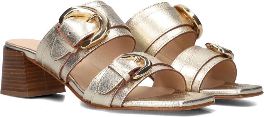 STEFANO LAURAN Dames 23118 Maat: 37 Materiaal: Leer Kleur: Goud
