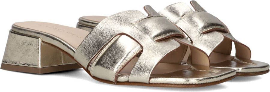 STEFANO LAURAN Dames 24050 Maat: 39 Materiaal: Leer Kleur: Goud