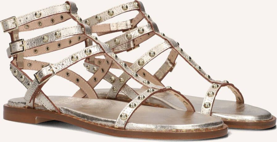 STEFANO LAURAN Dames 24202 Maat: 39 Materiaal: Leer Kleur: Goud