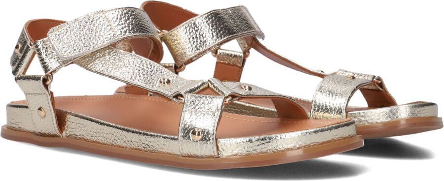 STEFANO LAURAN Dames 89863 1660 Maat: 36 Materiaal: Leer Kleur: Goud