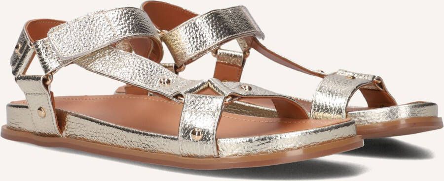 STEFANO LAURAN Dames 89863 1660 Maat: 39 Materiaal: Leer Kleur: Goud