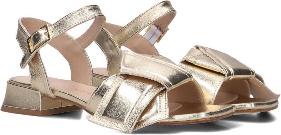 STEFANO LAURAN Dames M100 Maat: 38 Materiaal: Leer Kleur: Goud