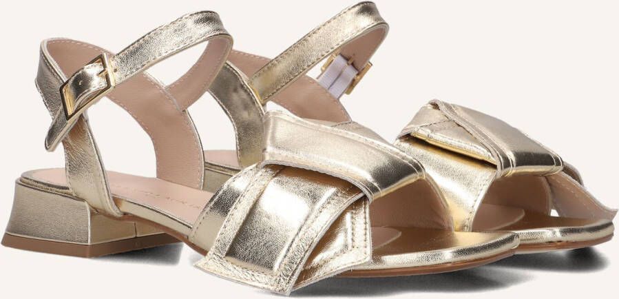 STEFANO LAURAN Dames M100 Maat: 38 Materiaal: Leer Kleur: Goud