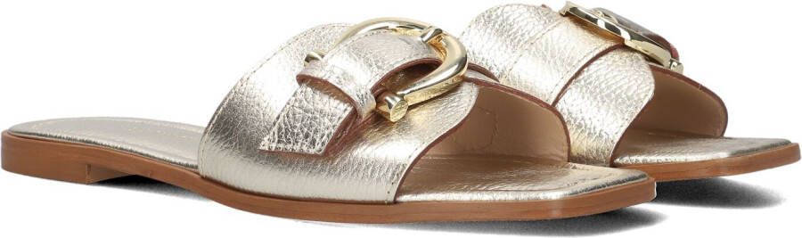 STEFANO LAURAN Slippers Dames 23100 Maat: 42 Materiaal: Leer Kleur: Goud