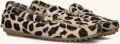 STEFANO LAURAN Mocassins Dames 11733 Ponyhair - Multicolor