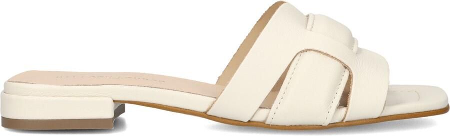 STEFANO LAURAN Slippers Dames 24050 Maat: 38 Materiaal: Leer Kleur: Beige - Foto 5