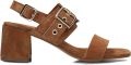 STEFANO LAURAN Sandalen met Hak Dames 25038 Suède Bruin - Bruin