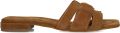 STEFANO LAURAN Slippers Dames 24050 Suède Bruin - Bruin