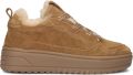 STEFANO LAURAN Lage Sneakers Dames Anemone-88 Suède Bruin - Bruin