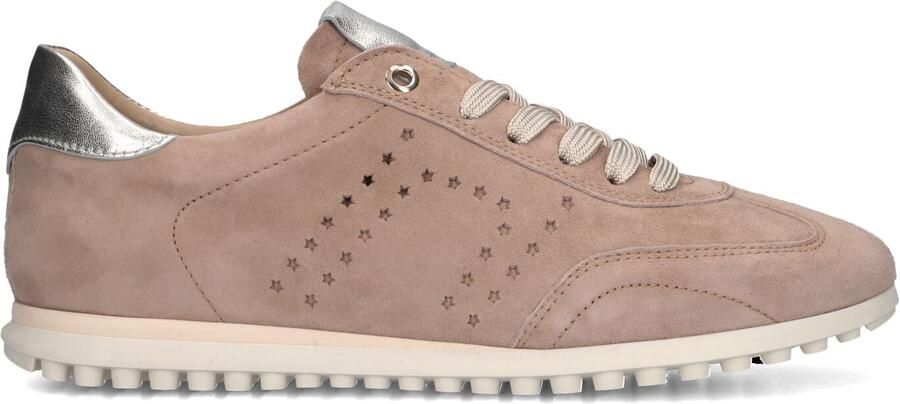 STEFANO LAURAN Lage Sneakers Dames Avril Suède Taupe