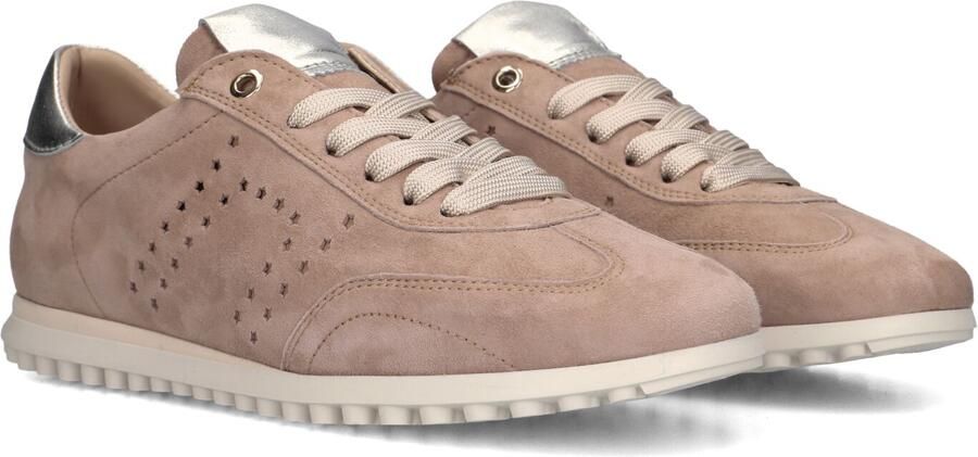 STEFANO LAURAN Lage Sneakers Dames Avril Suède Taupe - Foto 2