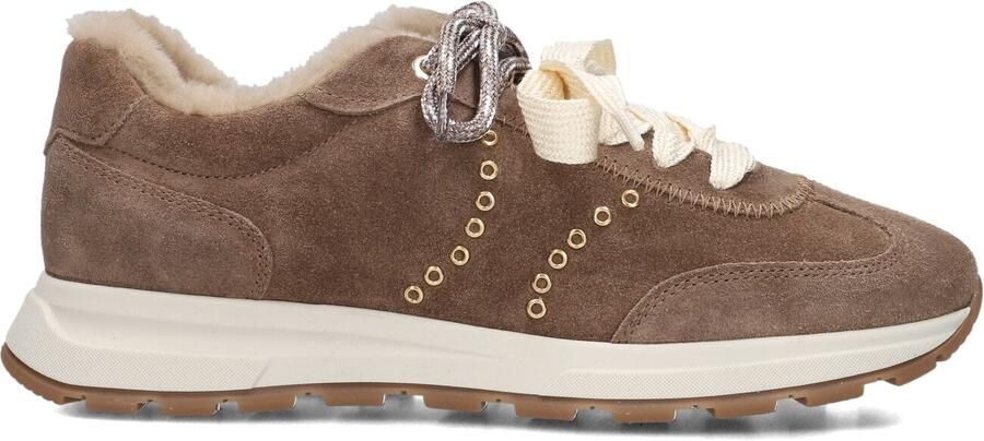 STEFANO LAURAN Lage Sneakers Dames Lucilla_1 Suède Taupe - Foto 3