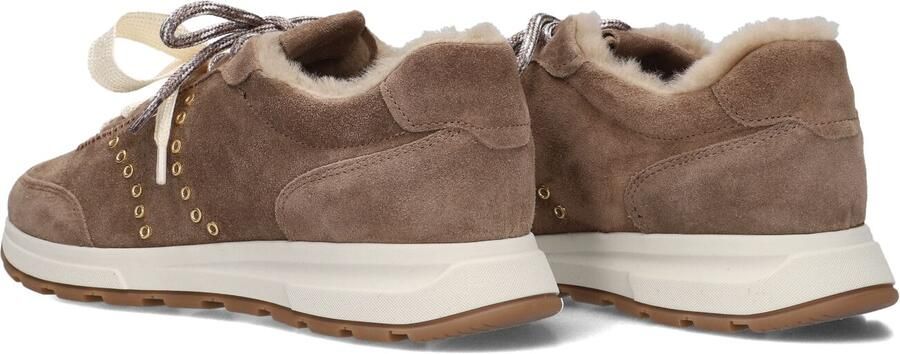 STEFANO LAURAN Lage Sneakers Dames Lucilla_1 Suède Taupe - Foto 5