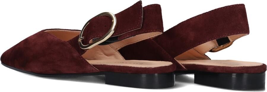 STEFANO LAURAN Slingbacks Dames 4548 Maat: 40 Kleur: Bordeaux - Foto 4