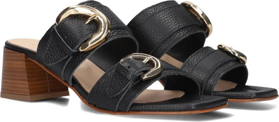 STEFANO LAURAN Dames 23118 Maat: 39 Materiaal: Leer Kleur: Zwart