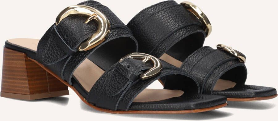 STEFANO LAURAN Dames 23118 Maat: 38 Materiaal: Leer Kleur: Zwart