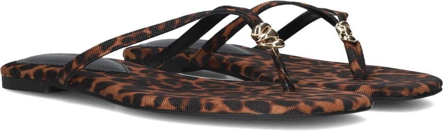 Steve Madden Maliyah Slippers Dames Bruin