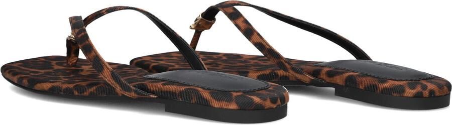 Steve Madden Maliyah Slippers Dames Bruin - Foto 5