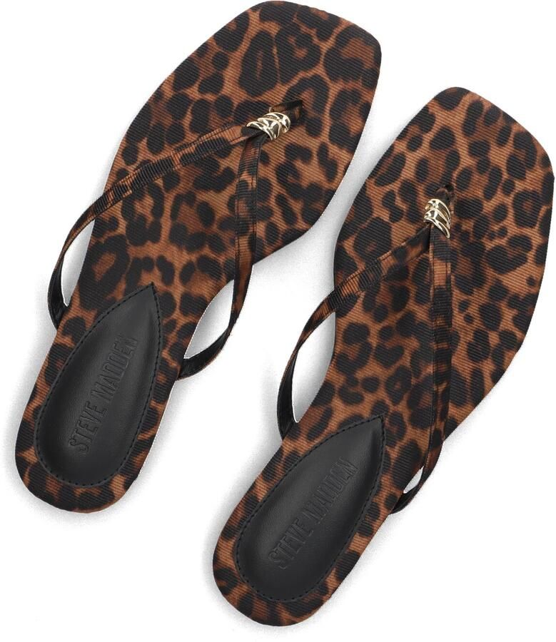 Steve Madden Maliyah Slippers Dames Bruin - Foto 2