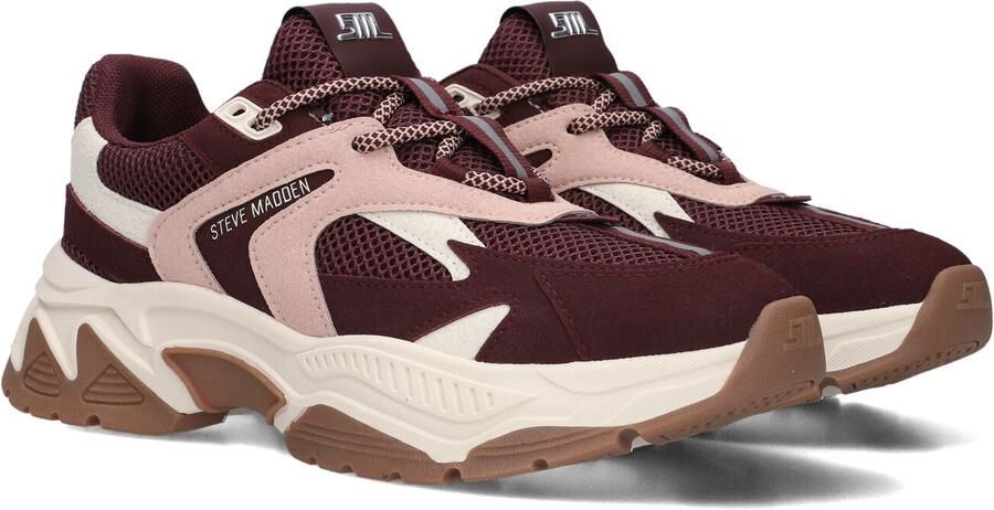 Steve Madden Ample Sneakers Dames Bordeaux
