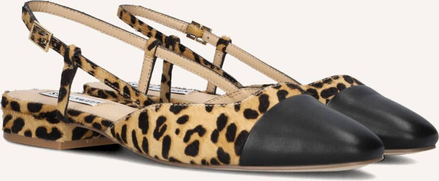 Steve Madden Ballerina's met doornsluiting model 'BELINDA'