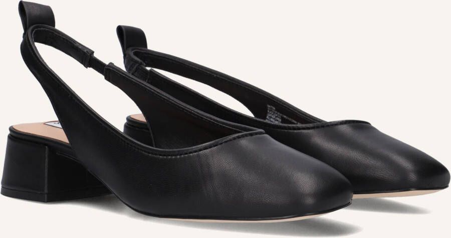 Steve Madden Smitten Hakken Dames Zwart