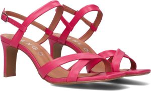 Tango | Ava 6 a bright pink cross sandal covered heel sole