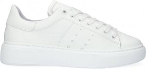 Tango | Alex 2-a white leather sneaker print white sole | Maat: 37