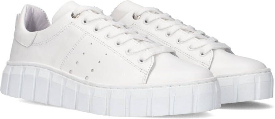 Tango Witte Lage Sneakers Harper 1