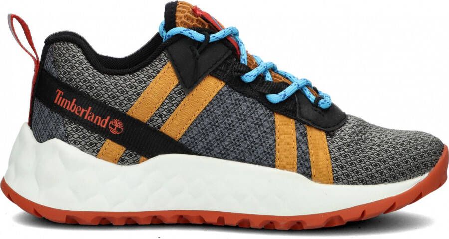 Timberland Grijze Lage Sneakers Solar Wave Lt Low