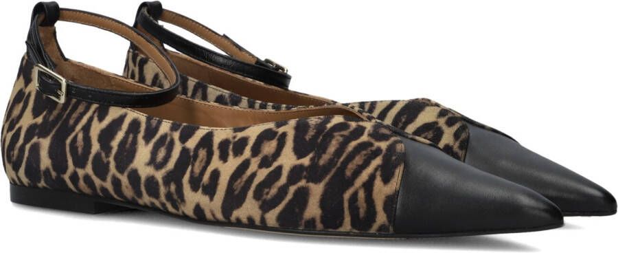 TORAL Ballerina Dames Cristelle Maat: 38 Materiaal: Suède Kleur: Bruin