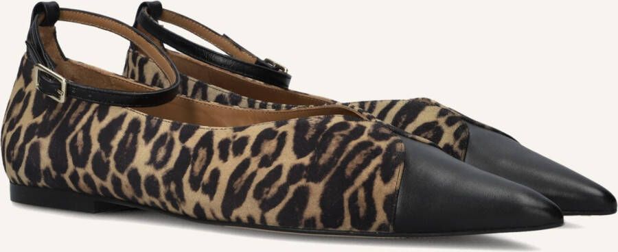 TORAL Ballerina Dames Cristelle Maat: 37 Materiaal: Suède Kleur: Bruin