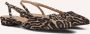 TORAL Slingbacks Dames Luisa Maat: 38 Materiaal: Suède Kleur: Bruin - Thumbnail 1