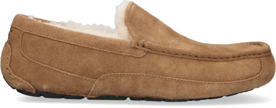 UGG Pantoffels Heren Ascot Maat: 49 5 Materiaal: Suède Kleur: Cognac - Foto 2