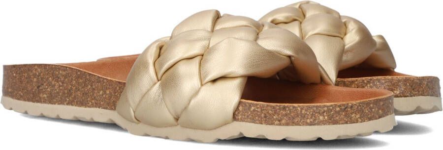 VERBENAS Gouden Slippers Rai