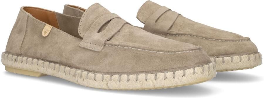 VERBENAS Bruine Instappers Track