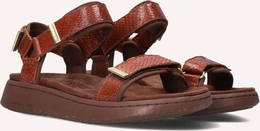 Woden Line Fish Sandalen Dames Bruin